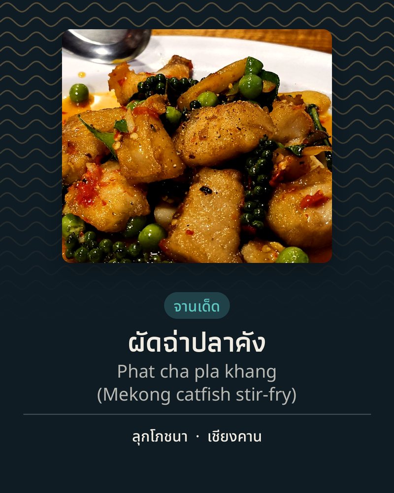 จานเด็ด: ผัดฉ่าปลาคัง (Phat cha pla khang (Mekong catfish stir-fry)) · ลุกโภชนา · เชียงคาน